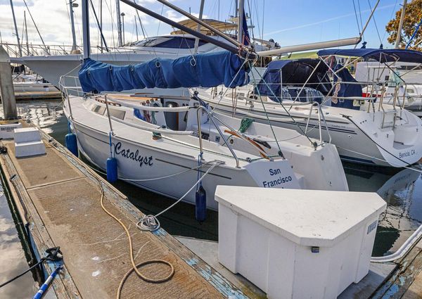 Wyliecat WYLIECAT-30 image