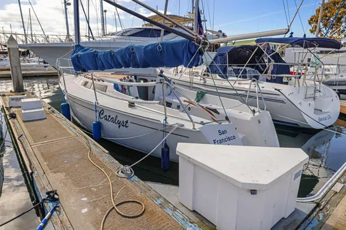 Wyliecat WYLIECAT-30 image