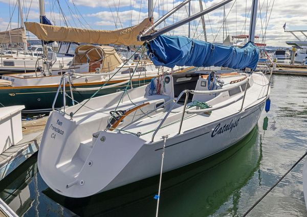 Wyliecat WYLIECAT-30 image