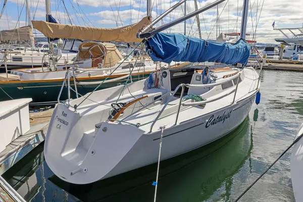 Wyliecat WYLIECAT-30 image