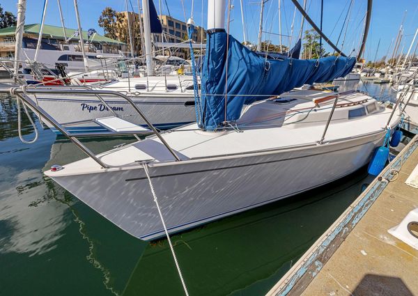 Wyliecat WYLIECAT-30 image