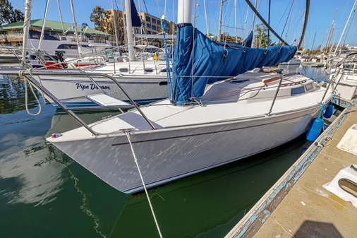 Wyliecat WYLIECAT-30 image