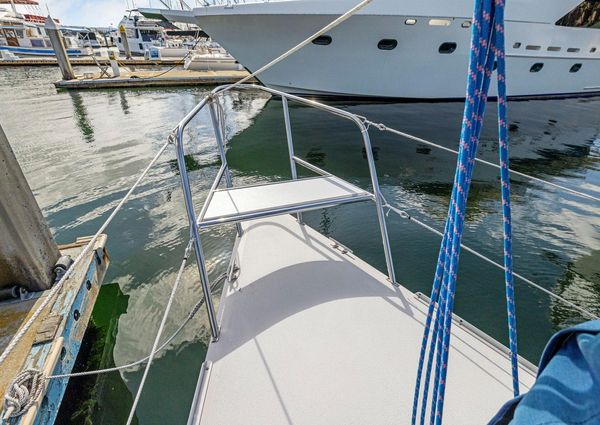 Wyliecat WYLIECAT-30 image