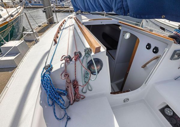 Wyliecat WYLIECAT-30 image