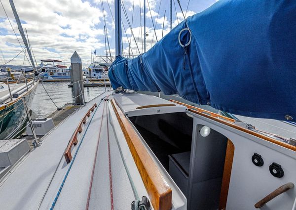 Wyliecat WYLIECAT-30 image