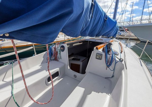 Wyliecat WYLIECAT-30 image