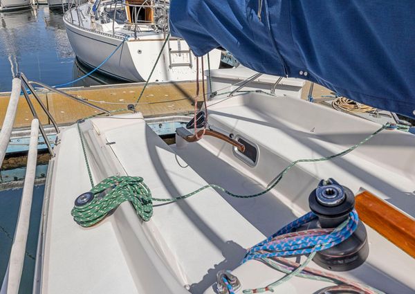 Wyliecat WYLIECAT-30 image