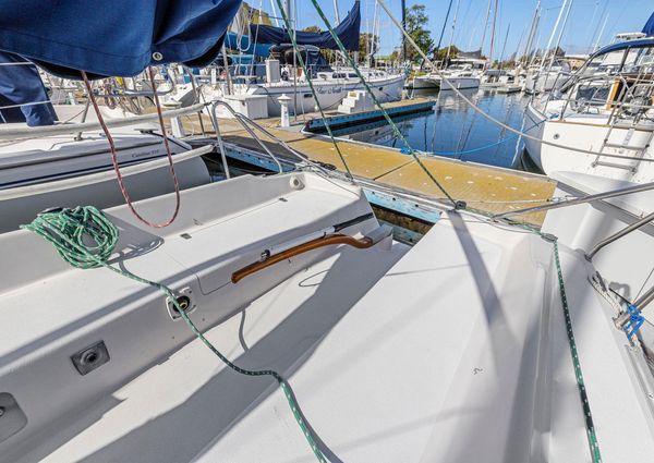 Wyliecat WYLIECAT-30 image