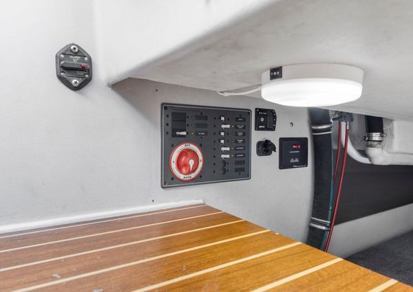 Wyliecat WYLIECAT-30 image