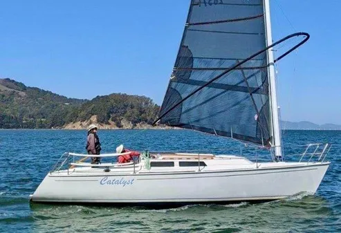 Wyliecat wyliecat 30 