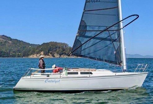 Wyliecat WYLIECAT-30 image