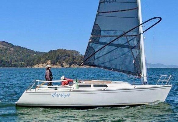 Wyliecat WYLIECAT-30 - main image