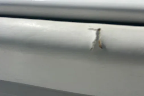 SeaHunter 39 Tournament image