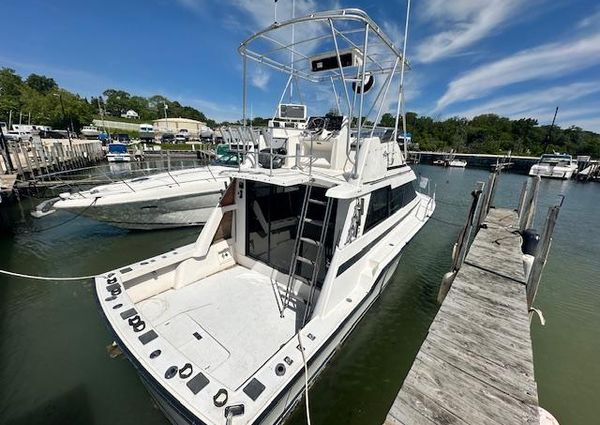 Luhrs 342-TOURNAMENT image