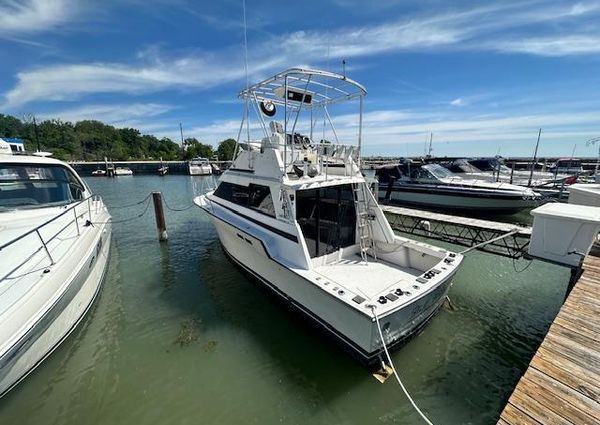 Luhrs 342-TOURNAMENT image