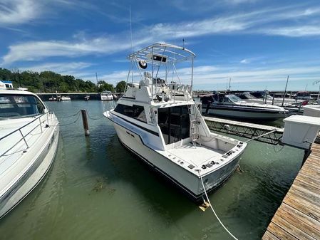 Luhrs 342-TOURNAMENT image