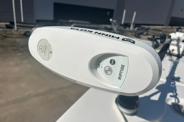 Twin Vee 260 VIVA image