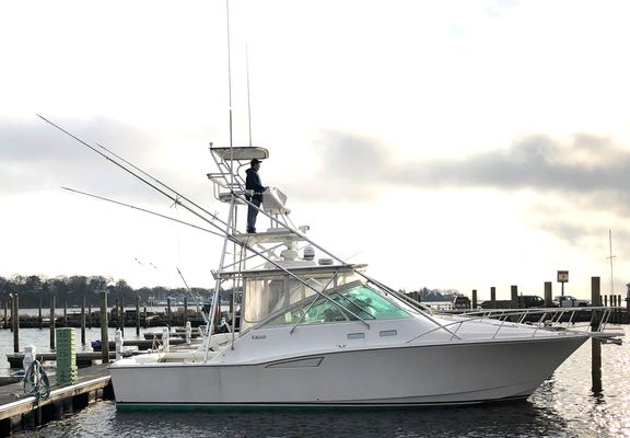 Cabo 35 Express - main image