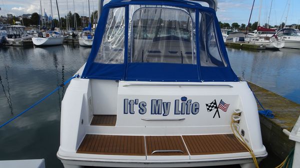 Formula 31-PERFORMANCE-CRUISER image