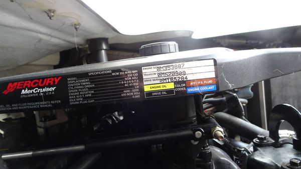 Formula 31-PERFORMANCE-CRUISER image