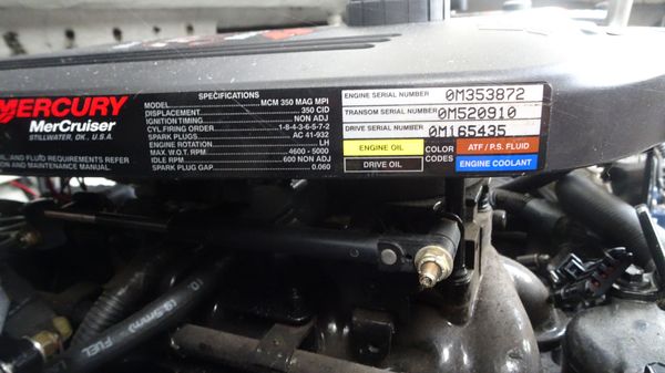 Formula 31-PERFORMANCE-CRUISER image