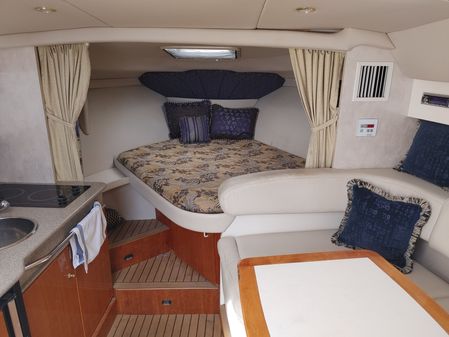 Formula 31-PERFORMANCE-CRUISER image