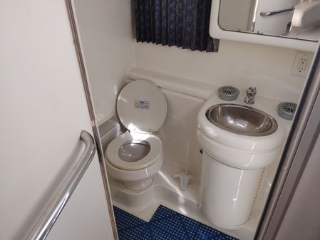 Formula 31-PERFORMANCE-CRUISER image