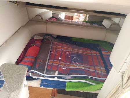 Formula 31-PERFORMANCE-CRUISER image