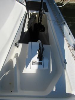 Beneteau 381 image