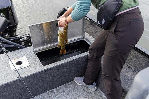 Lowe FISHING-MACHINE-1775SC image