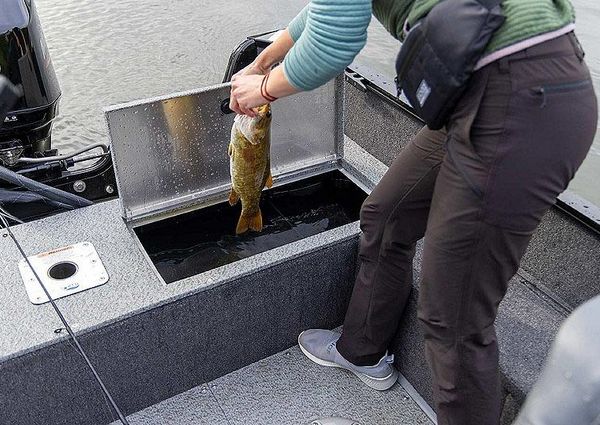 Lowe FISHING-MACHINE-1775SC image