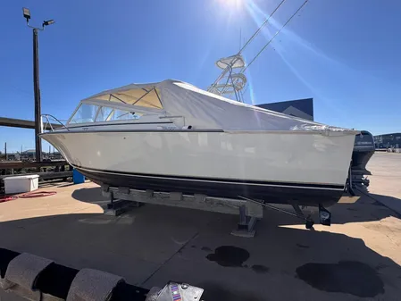 Bertram 28 Moppie image