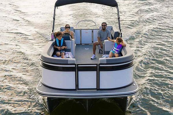 Lowe LS-230-WT - main image