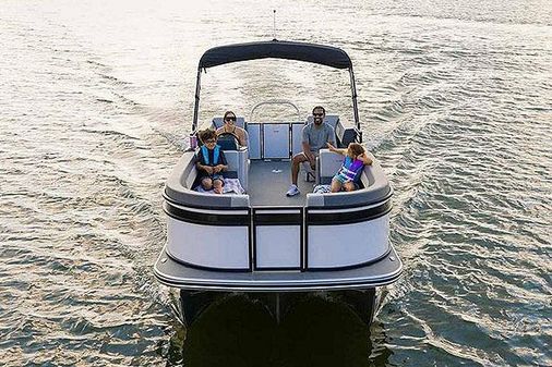 Lowe LS-210-WT image