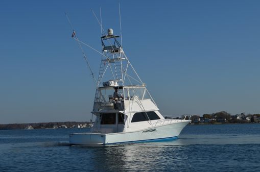 Viking 50-CONV-SPORT-FISHER image