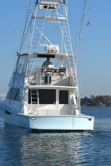 Viking 50-CONV-SPORT-FISHER image