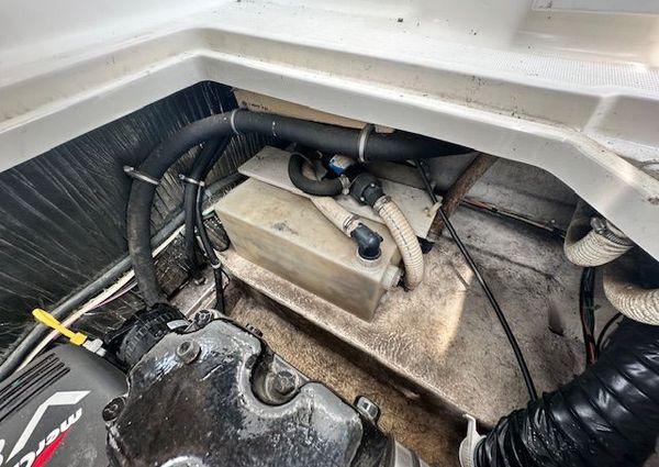 Bayliner 2855-CIERA image