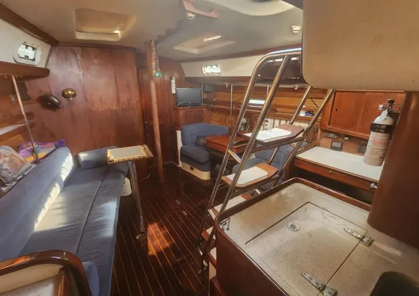 Catalina Morgan 381 image