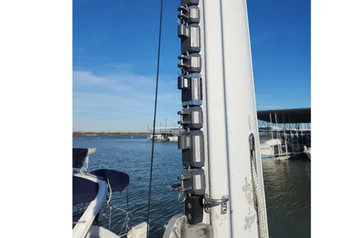 Catalina Morgan 381 image