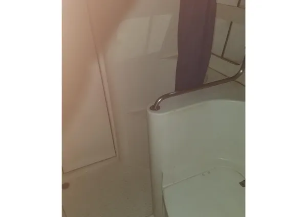 Catalina Morgan 381 image