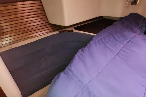 Catalina Morgan 381 image