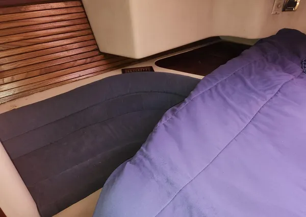 Catalina Morgan 381 image