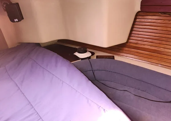 Catalina Morgan 381 image