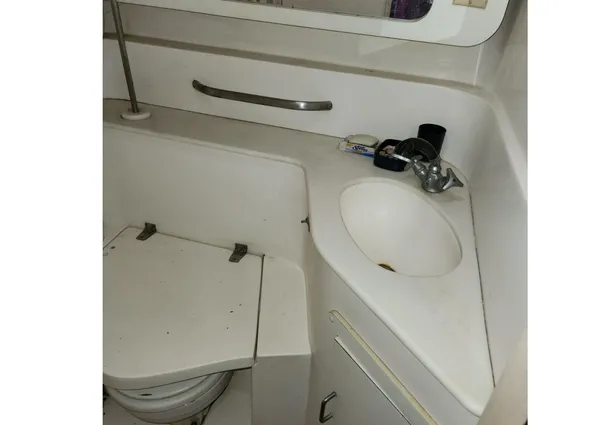 Catalina Morgan 381 image