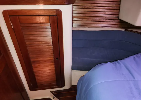 Catalina Morgan 381 image