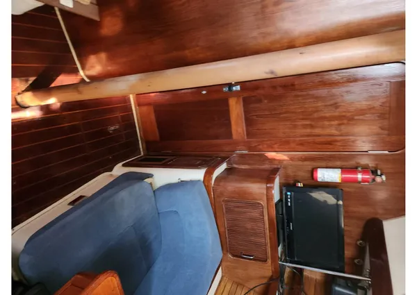 Catalina Morgan 381 image