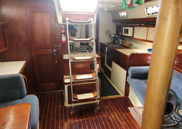 Catalina Morgan 381 image