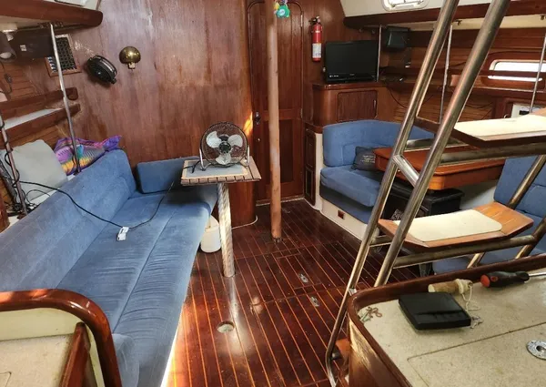 Catalina Morgan 381 image