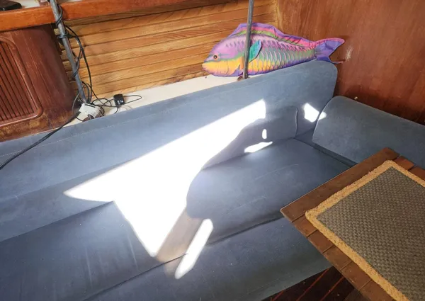 Catalina Morgan 381 image