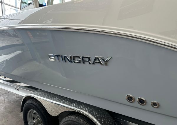 Stingray 253CC image